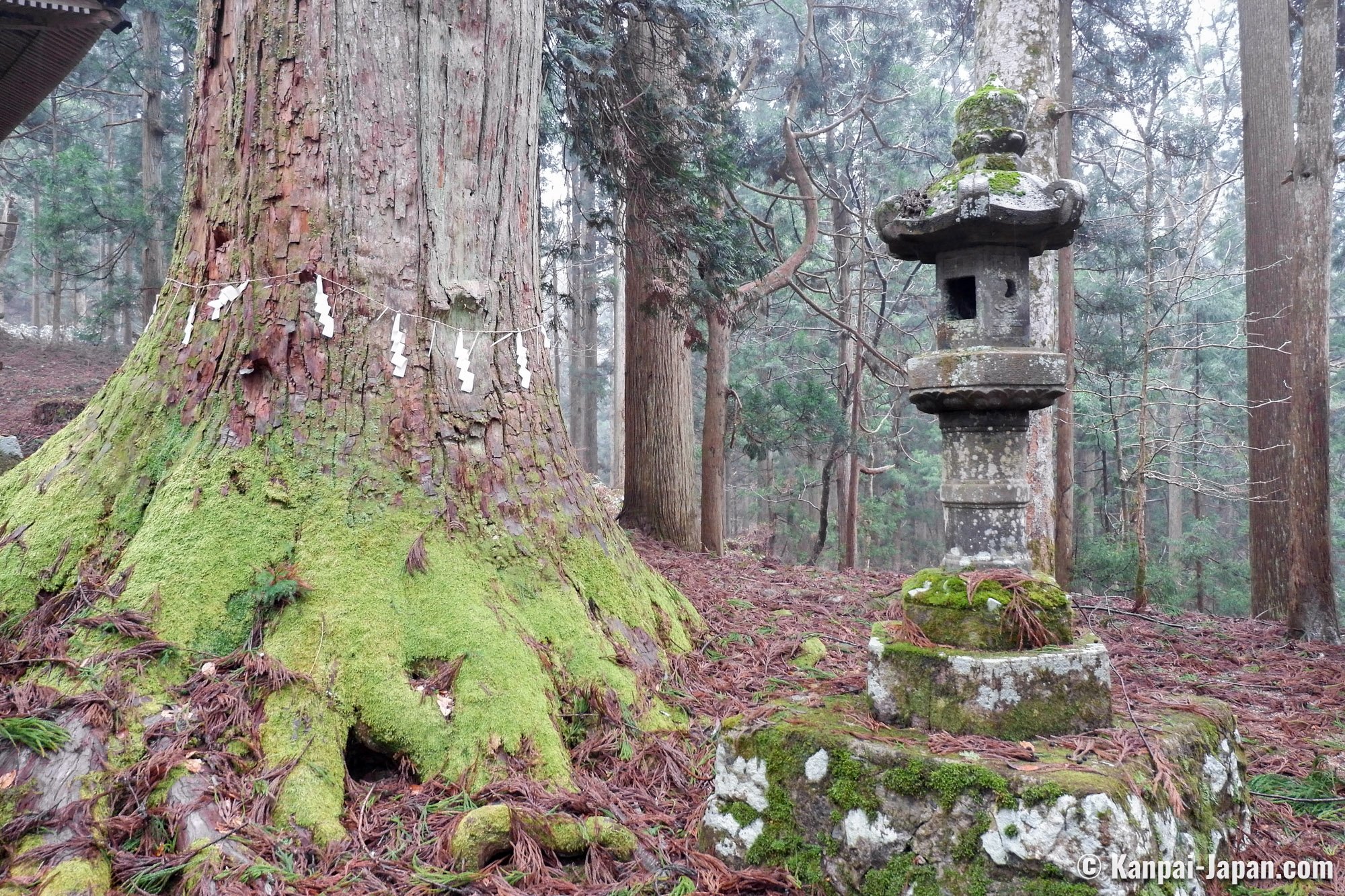 ⛩️ 금봉 신사 (킨포 진자) 이미지 1